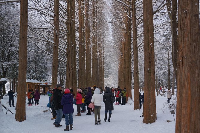 [Perfect Private Tour] Nami Island, Petite France and Organic Strawberry Farm - Common questions