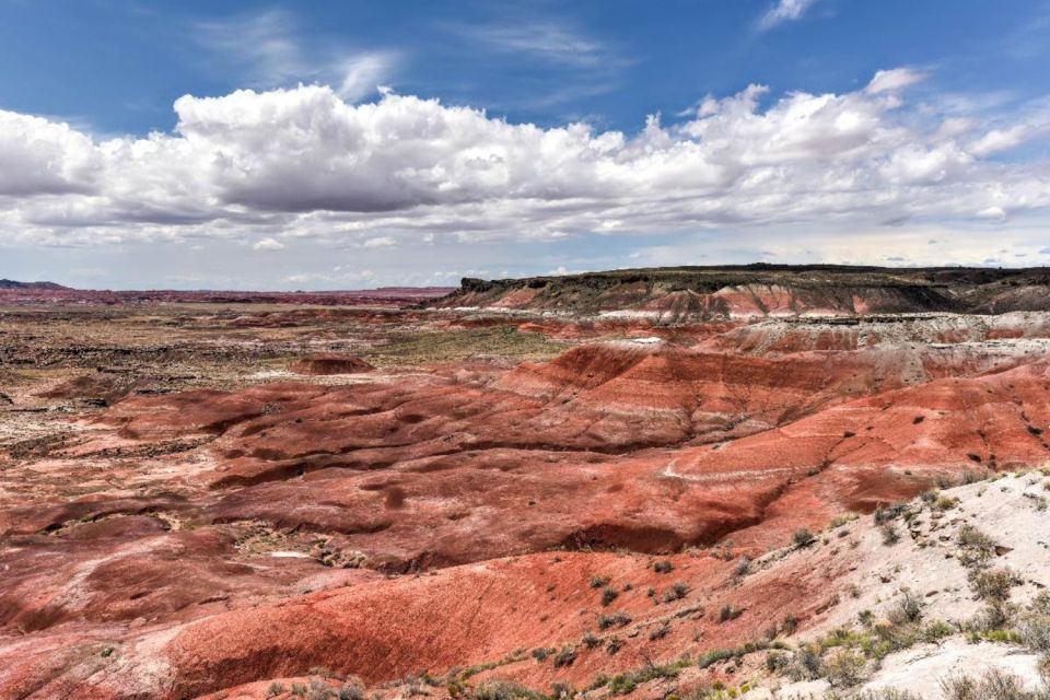 Petrified Forest National Park Self-Guided Audio Tour - Customer Reviews