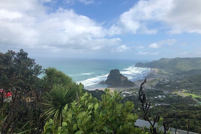 Piha Waitakere Rainforest Wine Tour From Auckland - Common questions