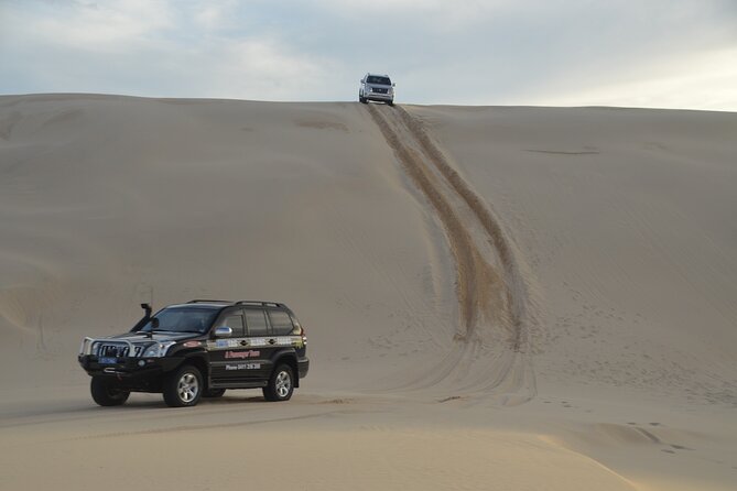 Port Stephens, Beach and Sand Dune 4WD Tag-Along Tour - Sum Up