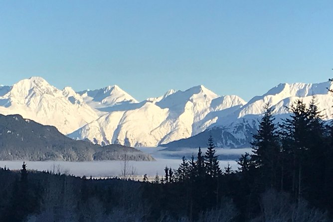 Portage Glacier Cruise and Wildlife Explorer Tour - Sum Up