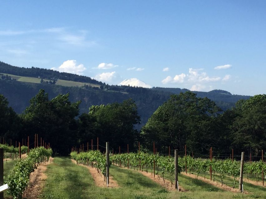 Portland: Mount Hood Wine and Waterfalls Full-Day Tour - Additional Information