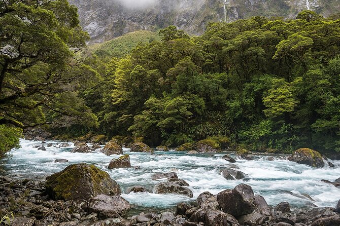 Premium Milford Sound and Te Anau Highlights 2 Days Small Group Tour - Accommodation Details