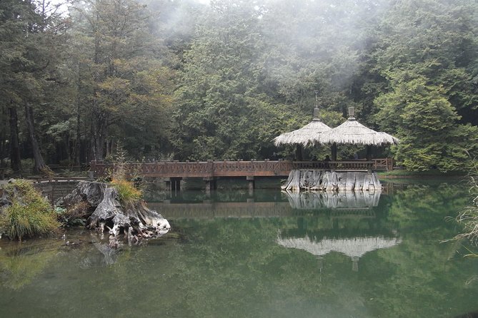 Private 3-Day Tour to Sun Moon Lake and Alishan - Tour Highlights and Customer Reviews