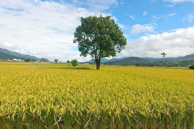 Private 4-Day Eastern Taiwan Tour: Yilan Hualien Taitung - Booking and Contact Information