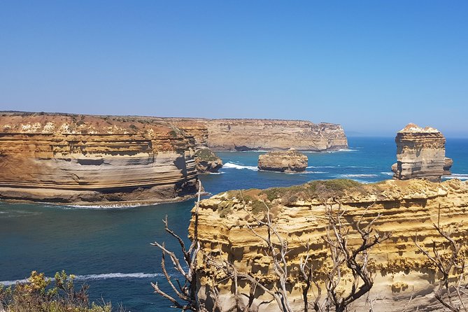 Private and Customised Great Ocean Road and 12 Apostles Tour - Additional Features of Private Tour