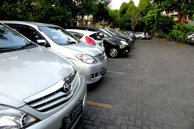 Private Arrival Transfer: Bali Airport to Ubud Area - Traveler Assistance and Support