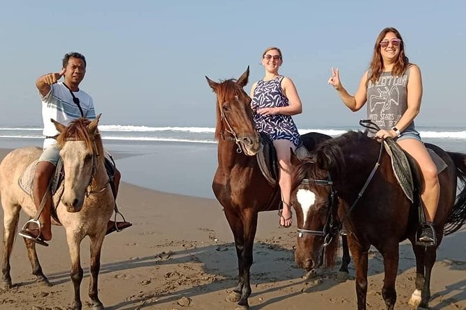 Private Bali Horse Riding In Seminyak Beach Limited Experiance - Challenges and Improvement Opportunities