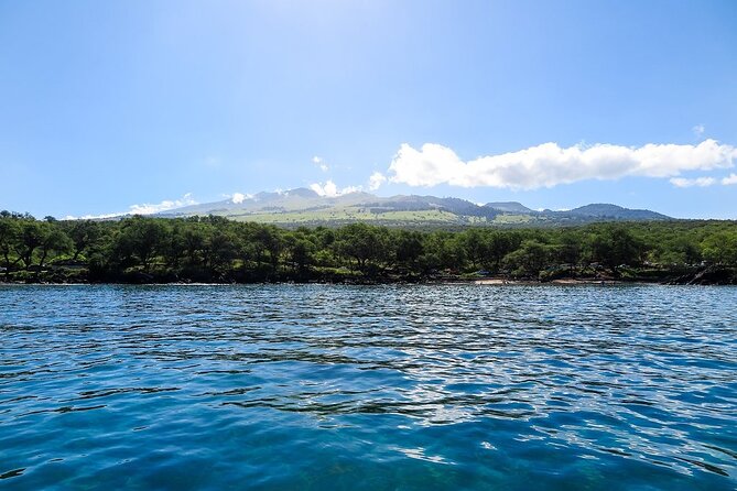 Private Beginner Paddleboard Lesson With Snorkel in Turtle Town! - What to Bring