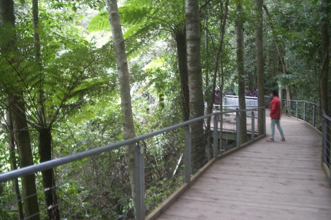 PRIVATE Blue Mountains 1 Day Tour With Wildlife Park & River Cruise - Kangaroos, Koalas at Featherdale Wildlife Park