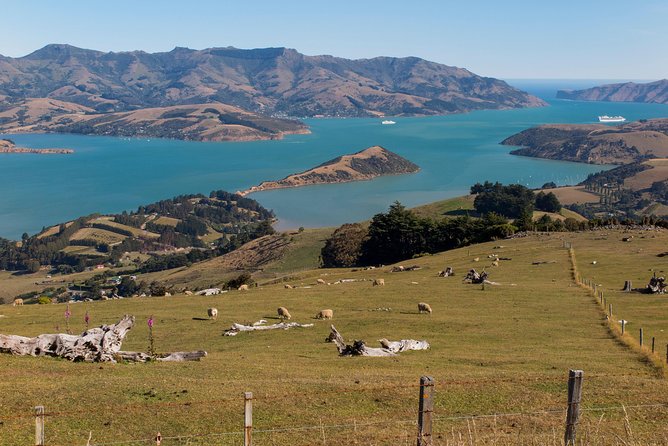 Private Day Scenic Excursion to Akaroa/Christchurch Ex Lyttelton - Booking and Reservation Process