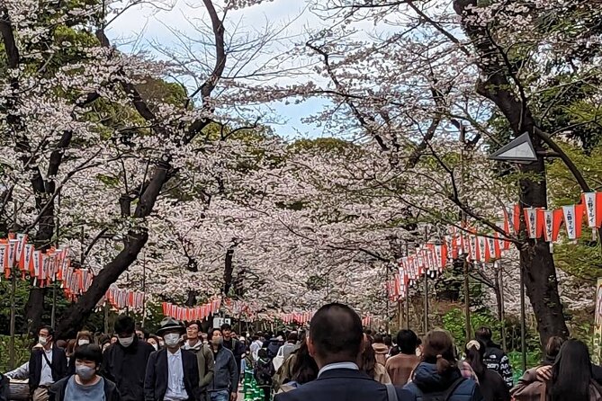 Private Day Tour in Tokyo With a Native English Speaker - Transportation and Logistics