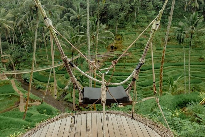 Private Day : Wonderful Ubud and Jungle Swing Tours - Common questions