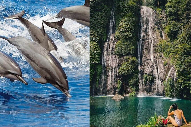 Private Dolphin-Watching Day Tour With Waterfalls & Temple  - Kuta - Key Points