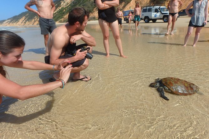 Private Double Island Wildlife Tour - Noosa - Sum Up