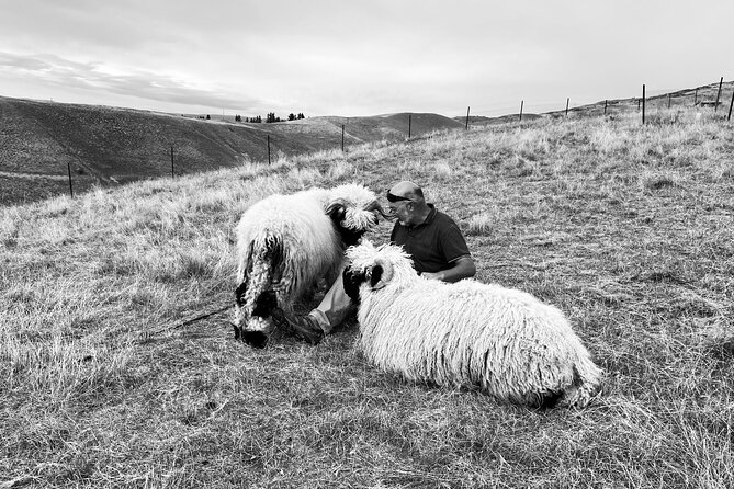 Private Farm Tour With Rose Creek Valais Blacknose Sheep - Common questions