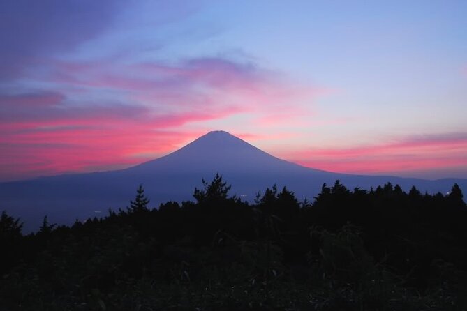 Private Full-Day Guided Tour in Mount Fuji Lakes - Common questions