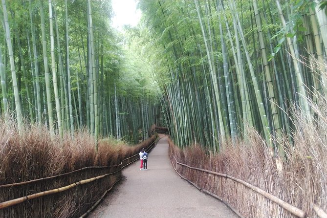 Private Full-Day Tour: Kyoto's Arashiyama and Kinkakuji Temple - Reviews and Feedback