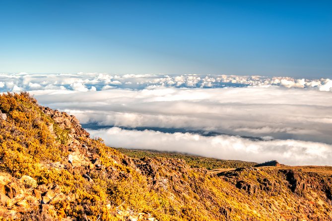 Private Half-Day Haleakalā Hike in Kahului  - Maui - Booking and Contact Information