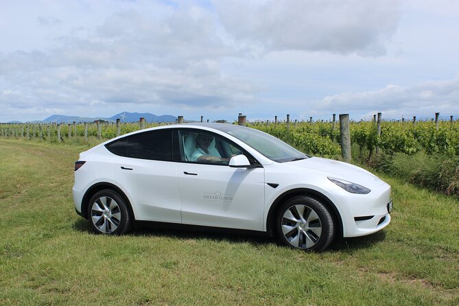Private Martinborough Wine Tour in an Electric Vehicle - Tesla Model Y - Customer Testimonials