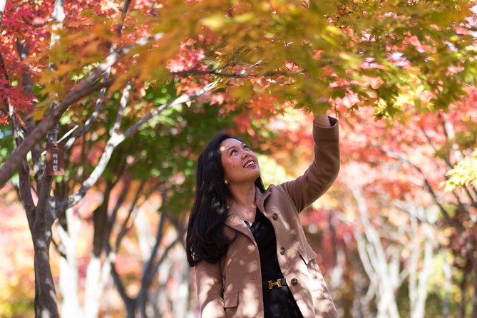 Private Nami Island Photo Shoot and Tour With a Photographer - Ratings and Customer Satisfaction