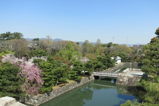 Private Nijo Castle Sightseeing and Nishiki Food Tour - Expert Tour Guide