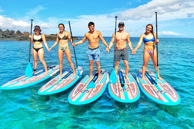 Private Stand Up Paddle Boarding Tour in Turtle Town, Maui - Tour Highlights