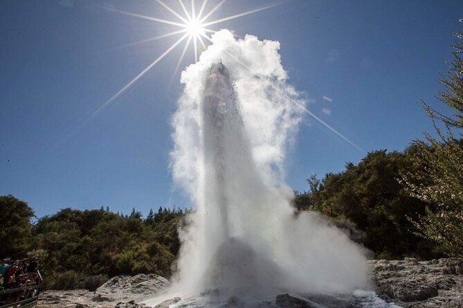 Private Tour [2 Days]: Auckland to Waitomo Caves, Rotorua, Te Puia & Wai-O-Tapu - Sum Up