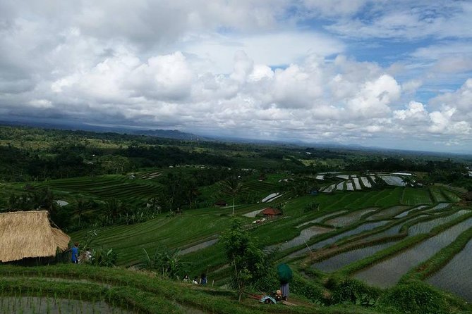 Private Tour: Jatiluwih Rice Terrace,Ulun Danu and Banyu Mala Waterfall Tour - Sum Up