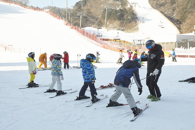 [Private Tour] Nami Island & Ski (Ski Lesson, Equip & Clothing Included) - Common questions