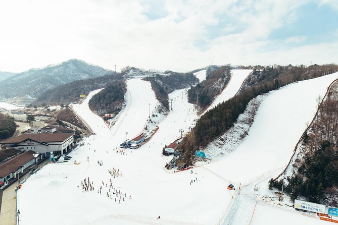 [Private Tour] Nami Island & Snow Viewing and Snow Sled (More Members Less Cost) - Sum Up