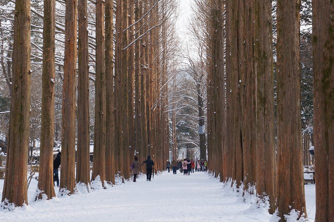 [Private Tour] Organic Strawberry Farm & Nami Island & Petite France - Sum Up