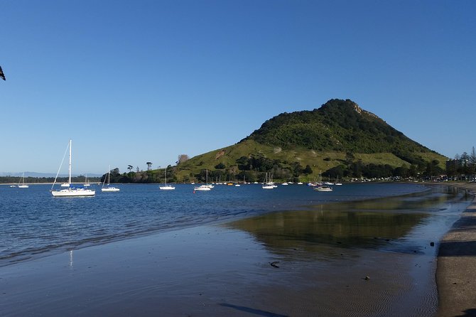 Private Tour Rotorua Shore Excursion up to 8 Passengers - Sum Up