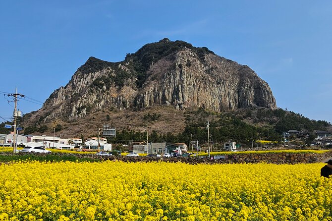 Private Tour South and West Jeju Island With Experienced Driver - Directions to Meeting Point