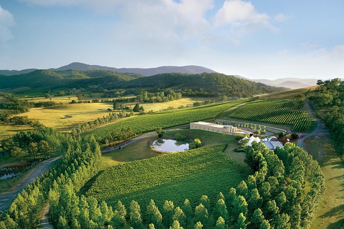 [PRIVATE TOUR] Yarra Valley Winery Day Tour - Sum Up