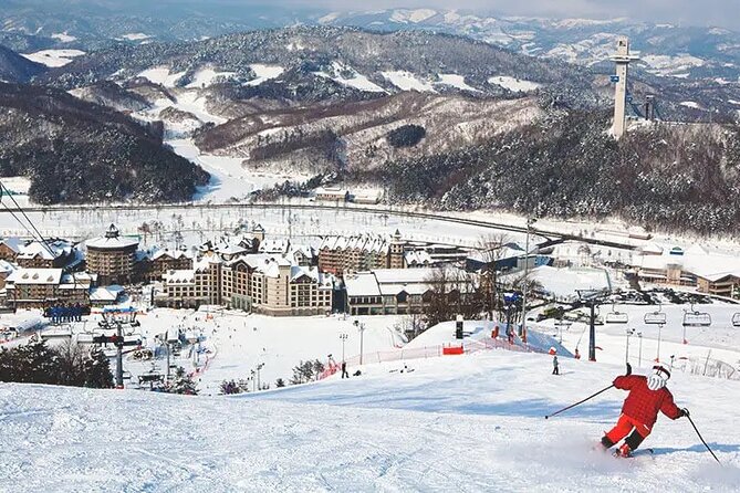 Private Transfer - Seoul Alpensia / Yongpyong Ski Resort - Transportation Options