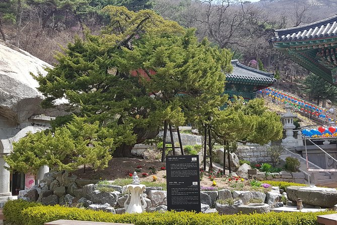 Private Trip to Seongmo Island(Temple) and North Korea ObservatoryKimchi Lesson - Common questions