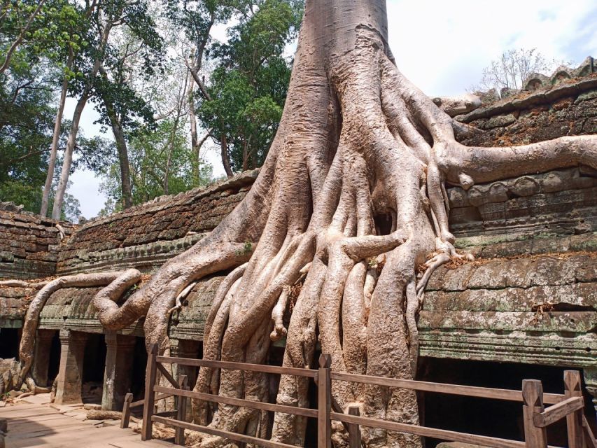 Private Two Day Angkor Wat Siem Reap - South Gate of Angkor Thom