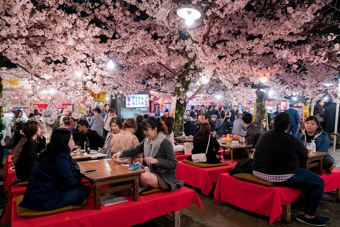 Private & Unique Kyoto Cherry Blossom "Sakura" Experience - Additional Information
