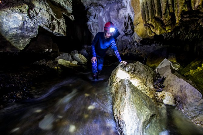 Private Waitomo Glowworm Cave Tours - Tour Experience