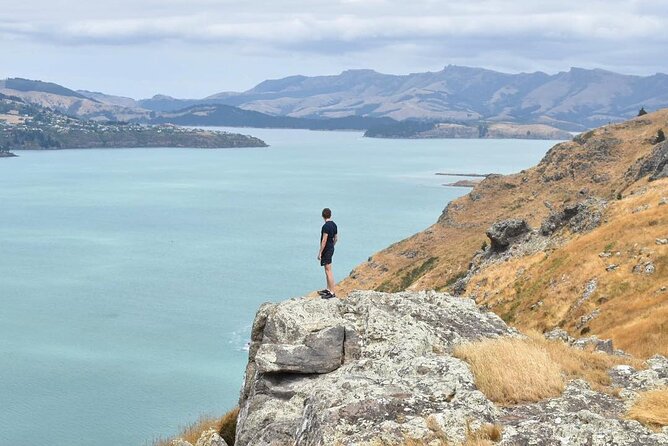 Private Walking Tour From Christchurch - Lyttelton & Godley Head - Logistics and Pickup Locations