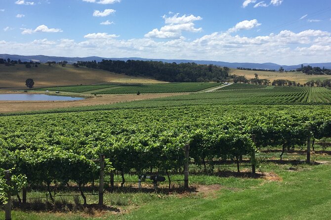 Private Yarra Valley Wine Tour - Booking Information