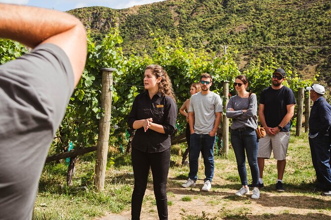 Queenstown Wine Sampler Tour - Key Tour Highlights