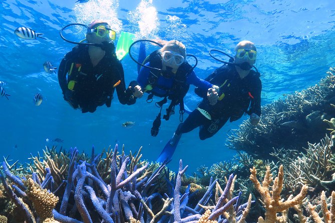 Quicksilver Outer Great Barrier Reef Snorkel Cruise From Palm Cove - Additional Booking Information