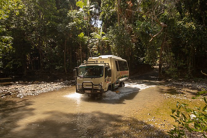 Reef, Rainforest and Beach Tour, Daintree and Cape Tribulation  - Cairns & the Tropical North - Customer Support