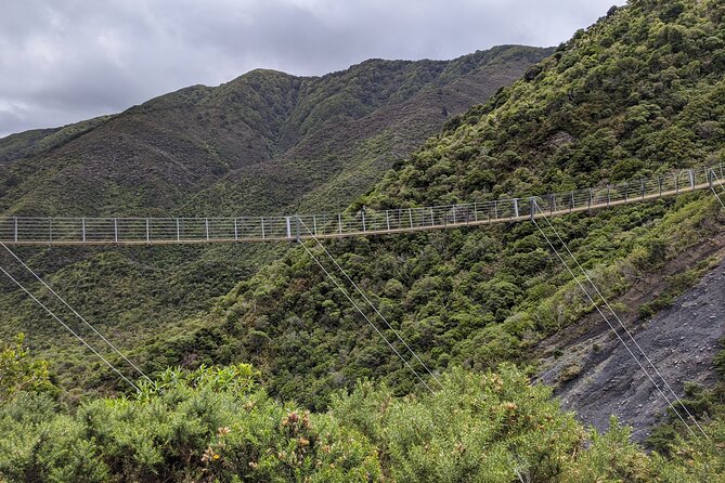 Remutaka Rail Trail Explorer - Ebike Cruise Ship Shore Excursion - Reviews and Ratings