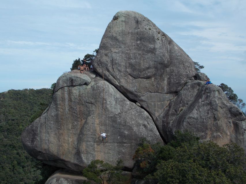 Rio De Janeiro: Hiking and Rappelling at Tijuca Forest - Sum Up