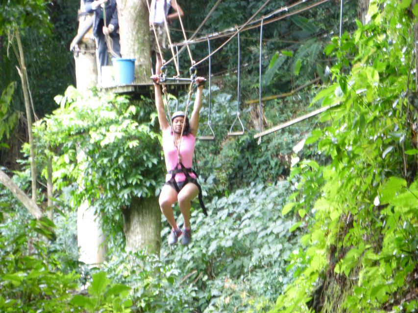 Rio De Janeiro: Zip Lining and Canopy Tree Tour - Directions