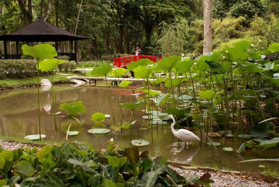 Rio: Jeep Tour to Botanical Garden and Tijuca Forest - Experience Highlights