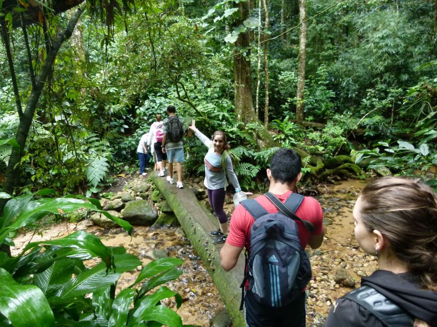 Rio: Tijuca Forest Historical Hike & Cachoeira Das Almas - Directions for the Tour